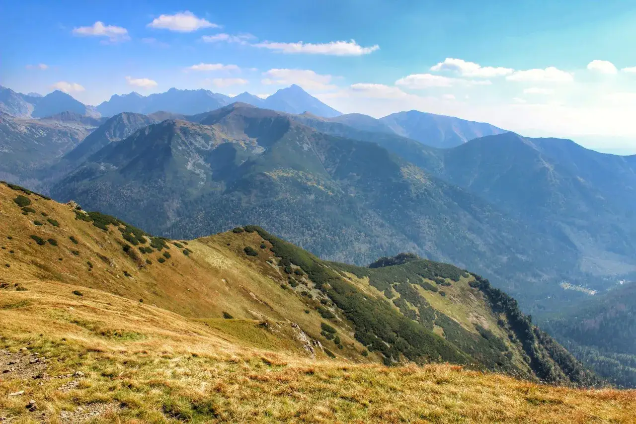 Widok na Tatry z Kopy Kondrackiej. G&oacute;ry w oddali, na pierwszym planie trawiasty stok.