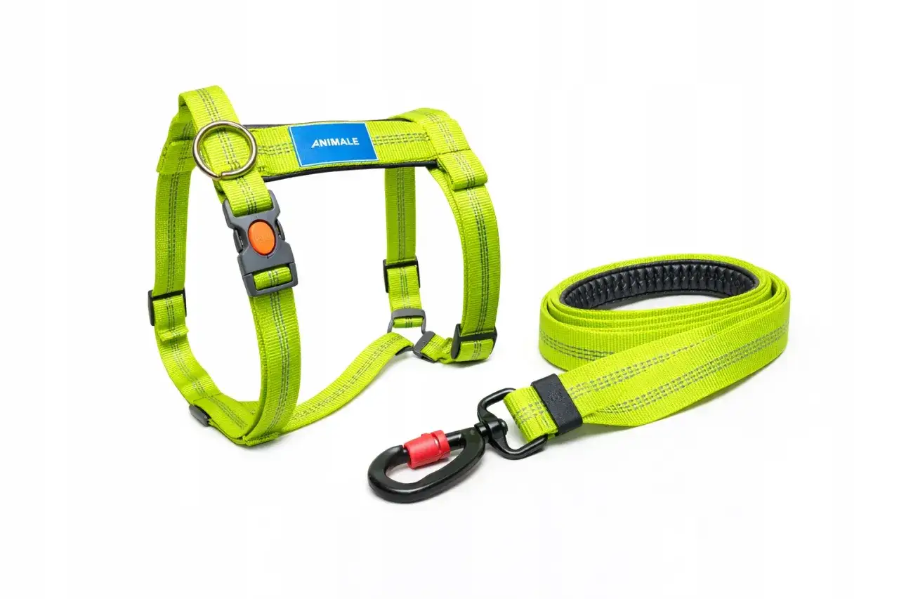 Jasnozielona smycz dla szczeniaka z szelkami i karabińczykiem. Idealny zestaw na pierwsze spacery.