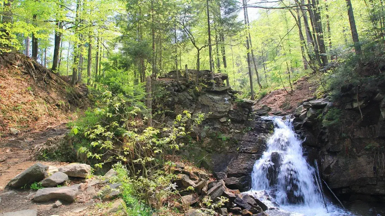 Szlak prowadzi przez las do wodospadu. To piękna trasa, skąd na Baranią G&oacute;rę?