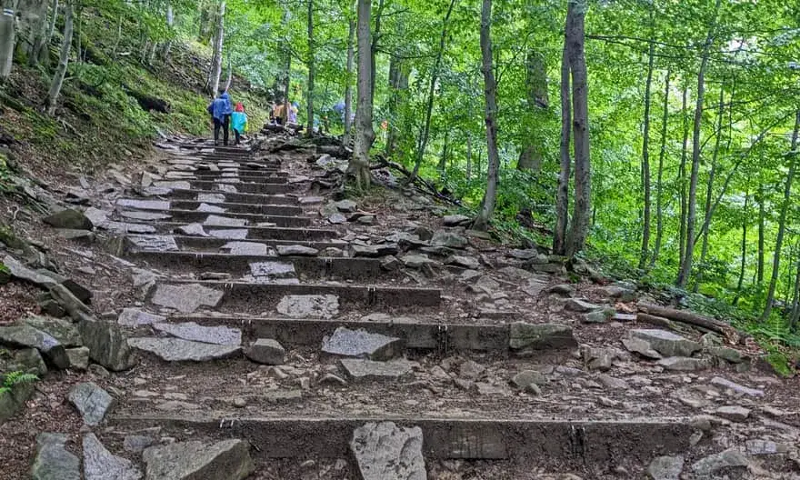 Tarnica szlak niebieski Wołosate