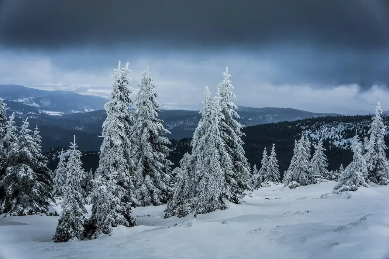 Zimowe karkonosze widoki. Śnieżne drzewa na tle mrocznych g&oacute;r i burzowego nieba.