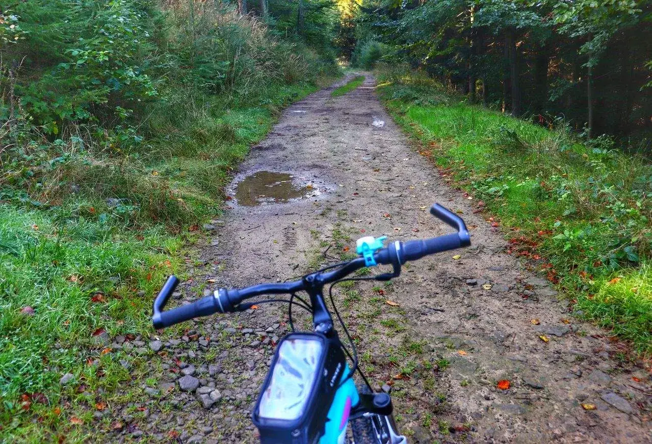 Rower do lasu czeka na przygodę. Błotnista ścieżka wśród drzew zaprasza do jazdy.