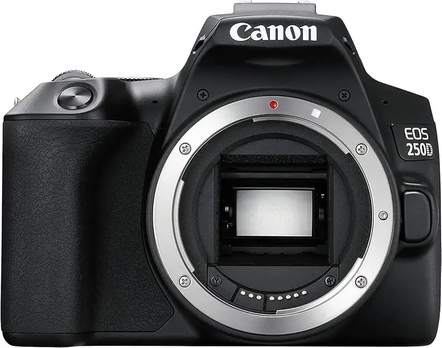 Canon EOS 250D body and lens