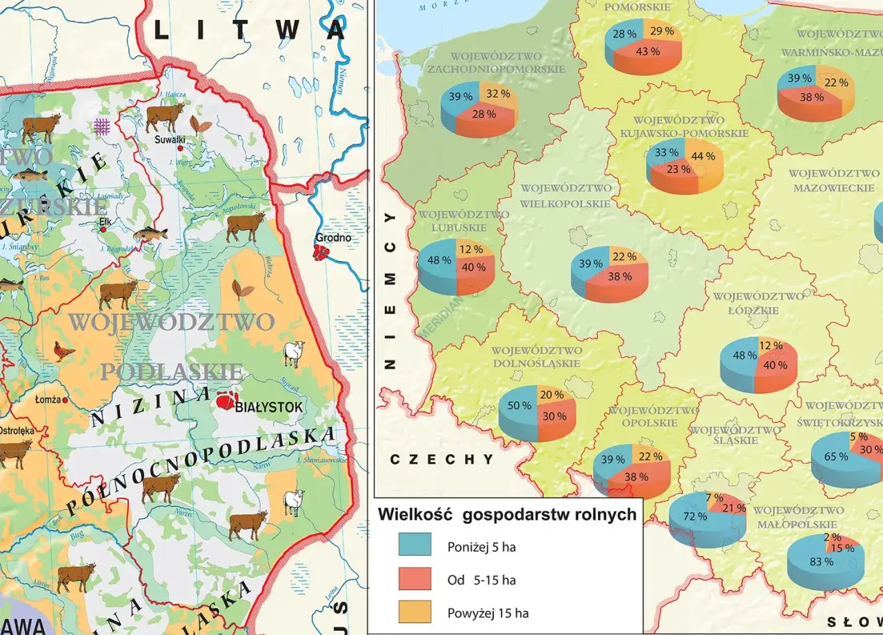 Mapa Polski z zaznaczonymi obszarami rolnymi lub schemat klasyfikacji gruntów