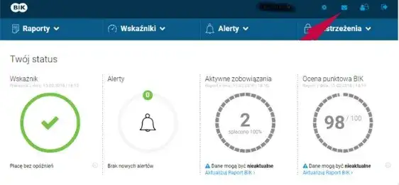 Jak sprawdzić BIK krok po kroku