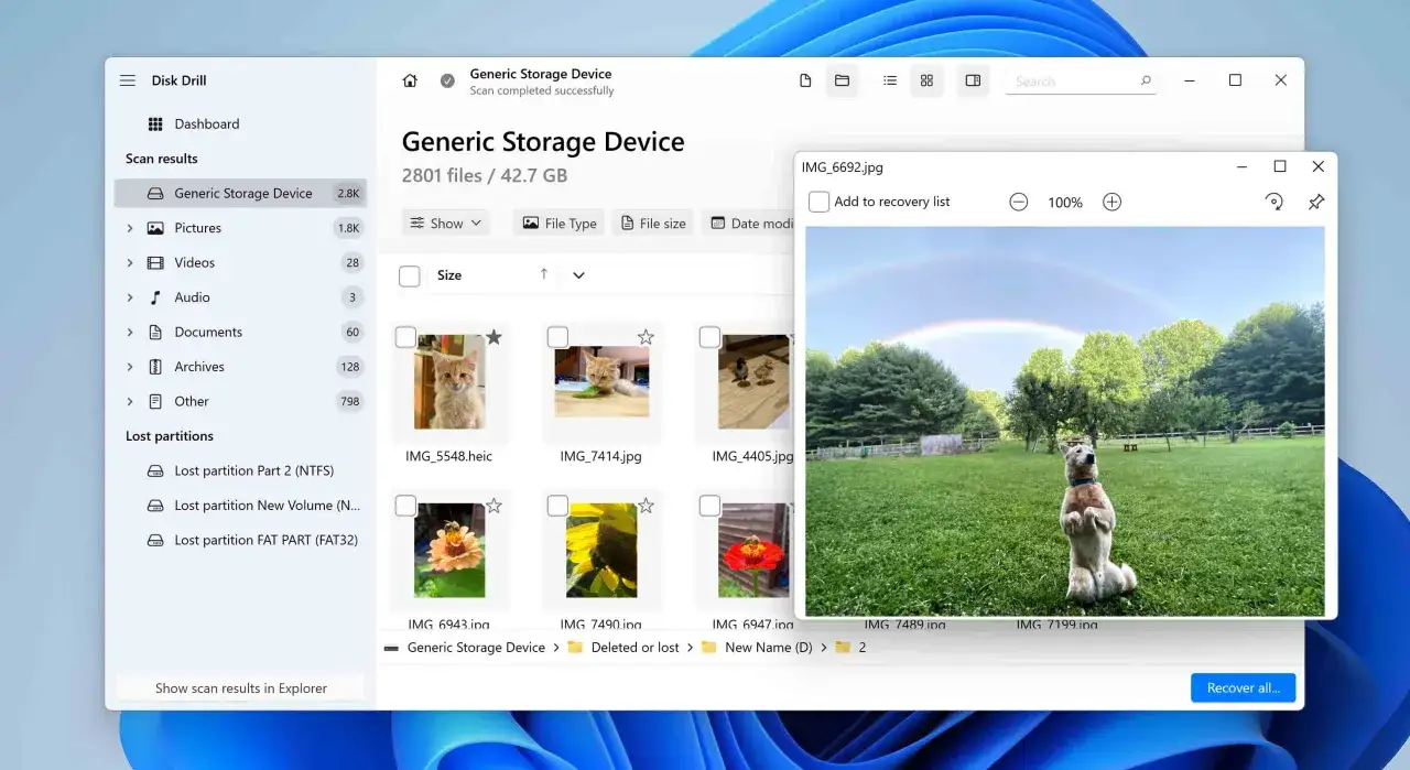 Program do odzyskiwania danych Disk Drill pokazuje znalezione pliki, w tym zdjęcie psa na tle tęczy.