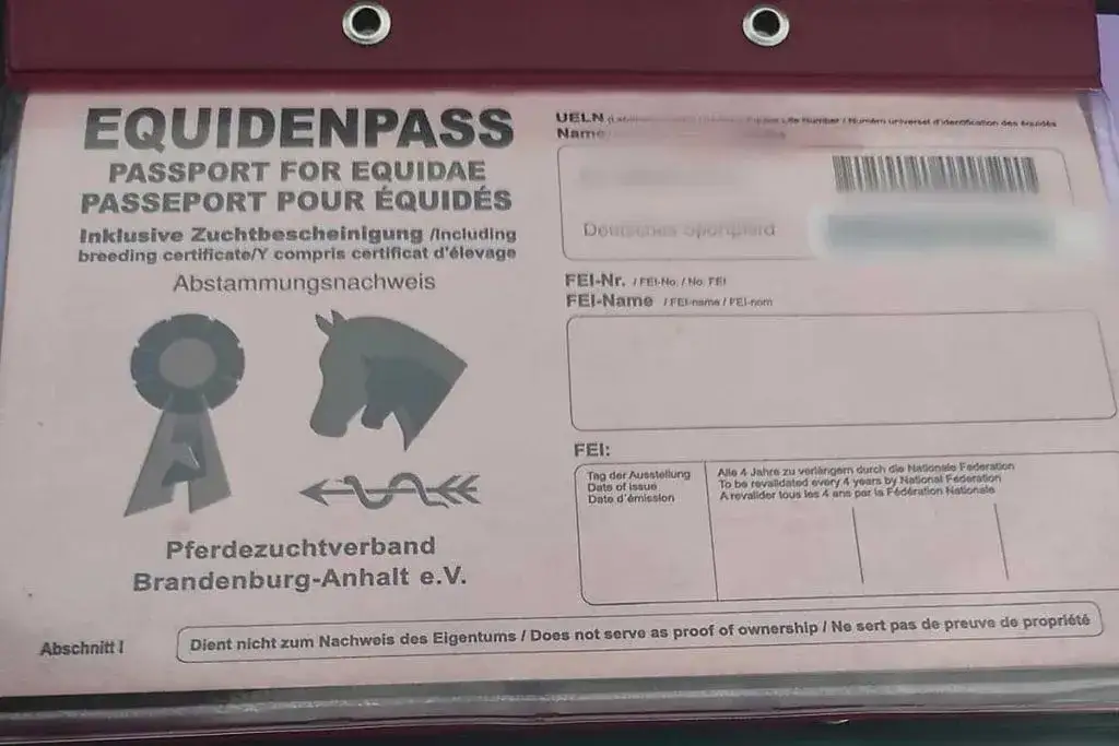 Koń z paszportem zagranicznym