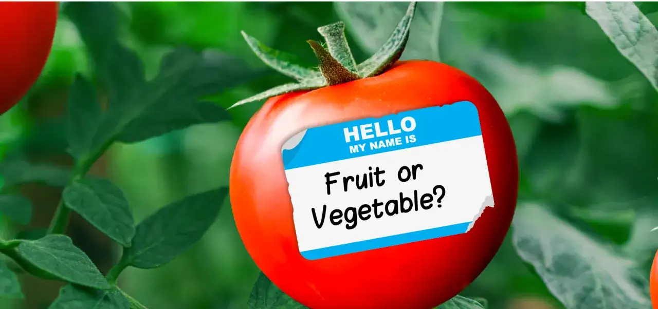 Czerwony pomidor z etykietą 