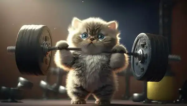 Zdjęcie Jak odchudzać kota: skuteczne metody na zdrową utratę wagi