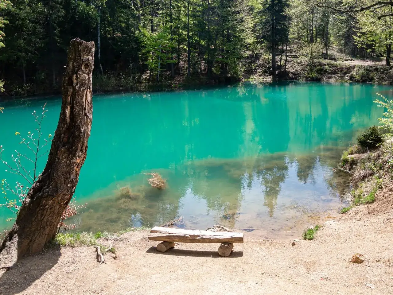 Idealne wakacje w górach gdzie? Nad turkusowym jeziorem, z ławką i pniem drzewa.