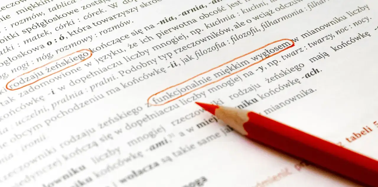 zasady gramatyki języka polskiego wyjątki