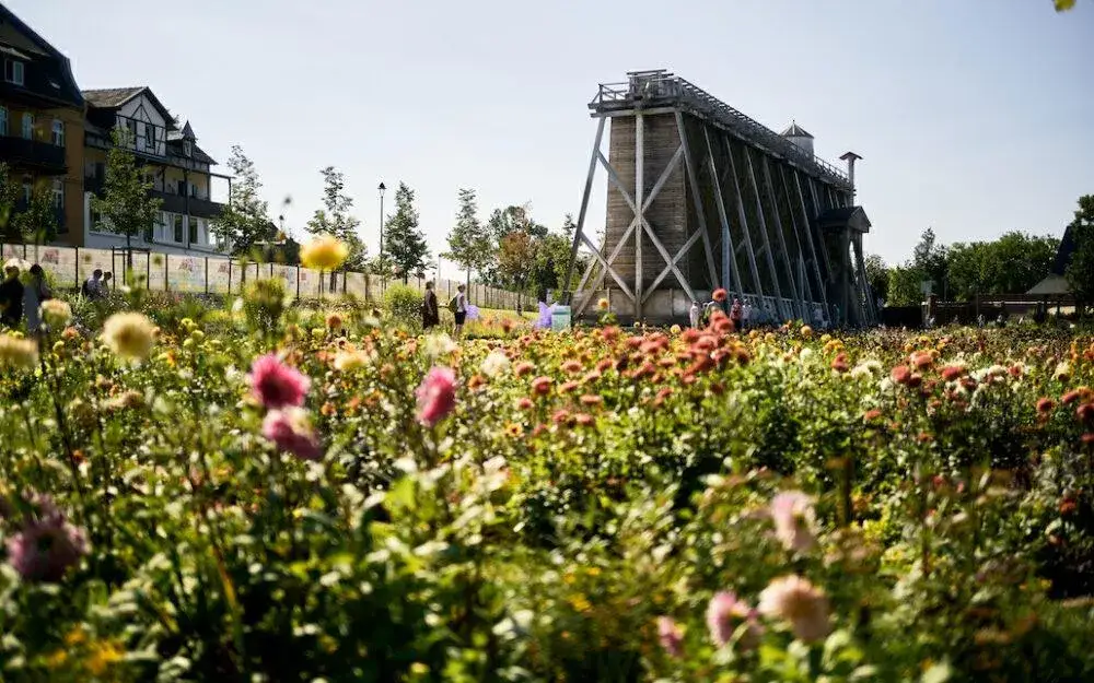 Landesgartenschau Bad D&uuml;rrenberg Weinterrasse Weinberg