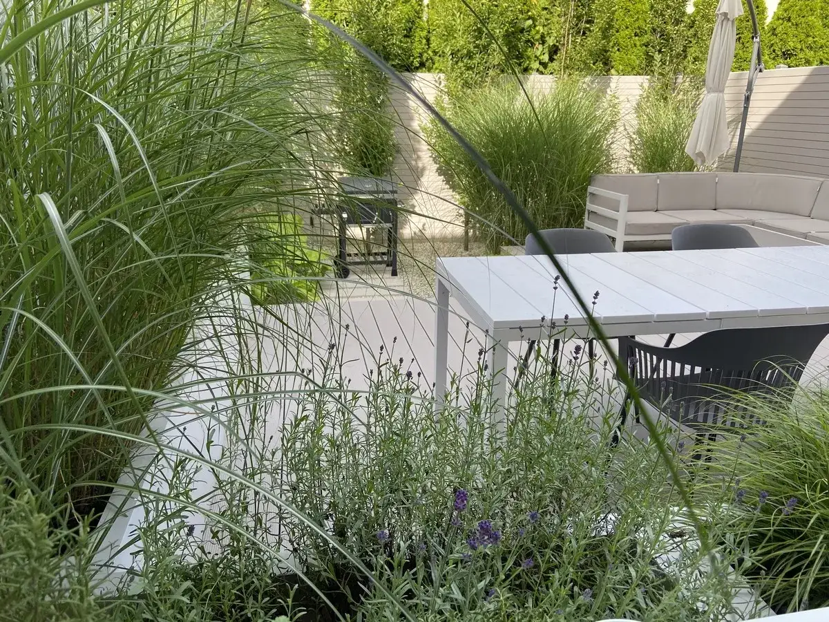 Nowoczesny ogr&oacute;d z meblami i trawami ozdobnymi. Inspiracja, jak zaplanować ogr&oacute;d, by był funkcjonalny i piękny.