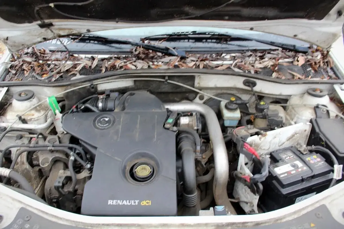 Silnik Renault dCi w Dacia Logan Van, z liśćmi na podszybiu.