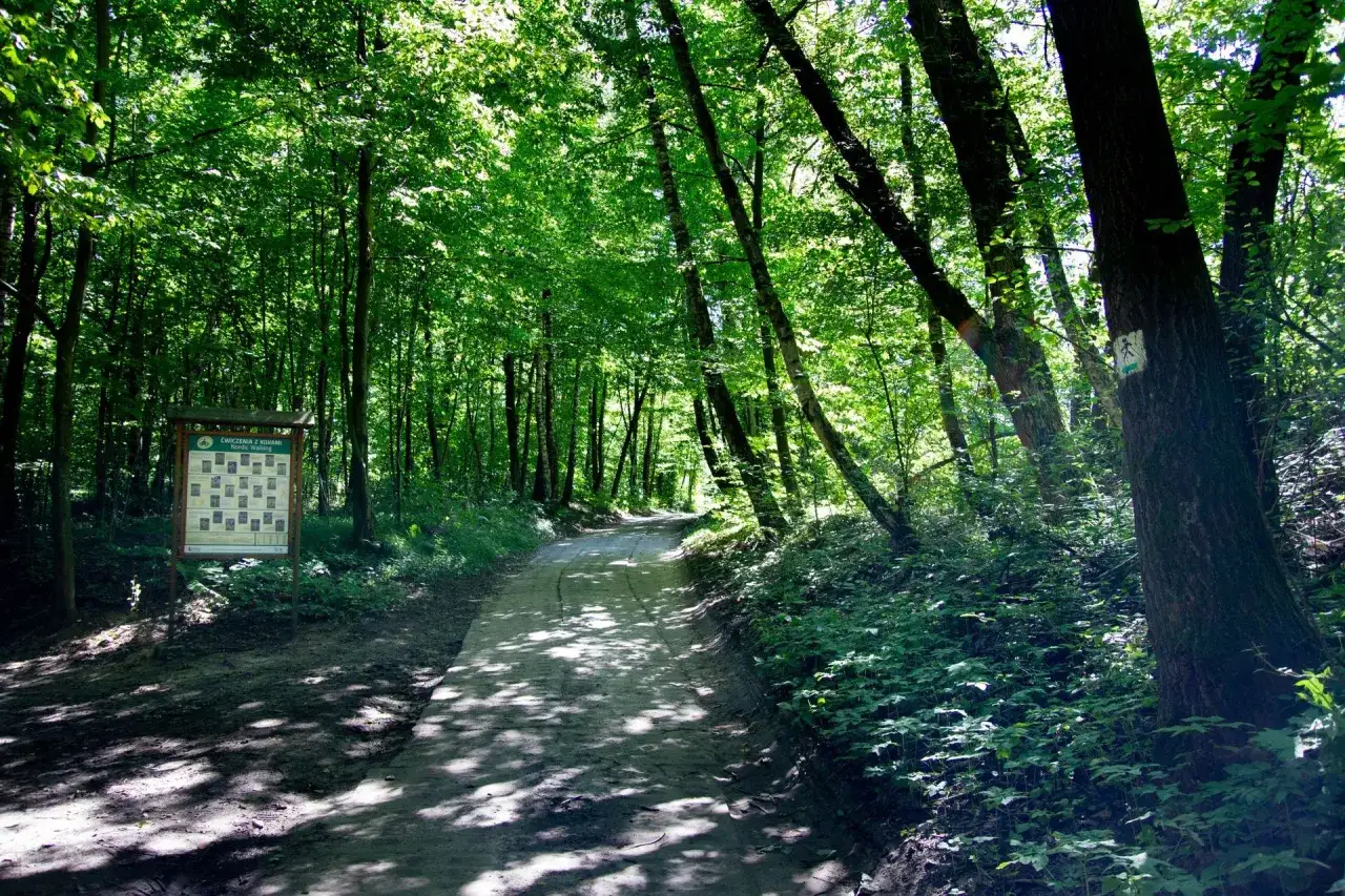 Wąwozy lessowe Nałęcz&oacute;w rower