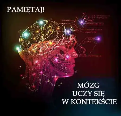 nauka słówek w kontekście