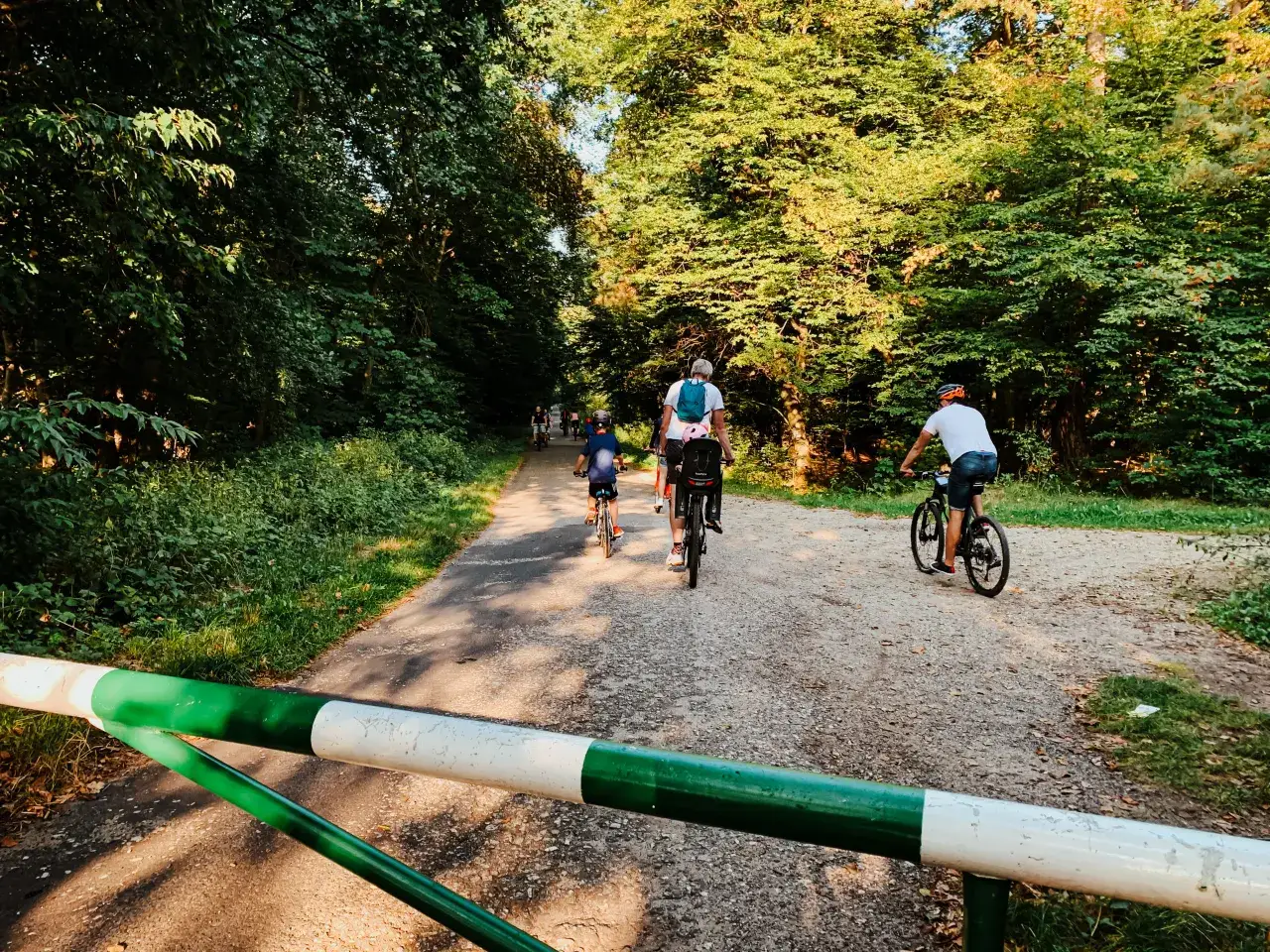 Zdjęcie Najlepsze trasy rowerowe w Puszczy Niepołomickiej – odkryj przygodę