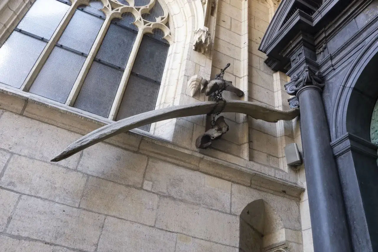 Wawel zamek katedra smok