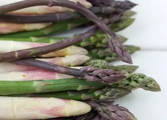 r&oacute;żne rodzaje szparag&oacute;w białe zielone fioletowe