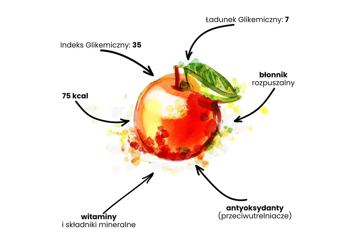 przekr&oacute;j jabłka składniki odżywcze