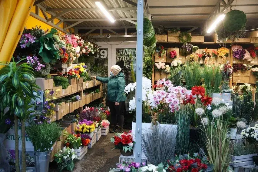 Zdjęcie Jak dojechać do giełdy kwiatowej w Krakowie – proste trasy i wskazówki
