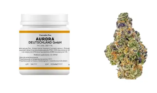 Apteka medyczna marihuana