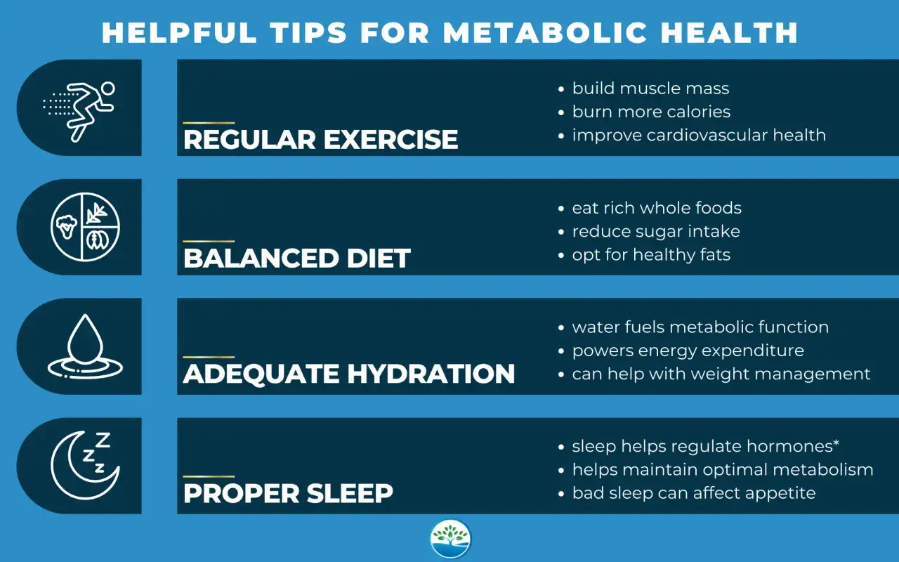 Wskaz&oacute;wki dotyczące zdrowia metabolicznego: ćwiczenia, dieta, nawodnienie i sen pomagają przyspieszyć metabolizm.