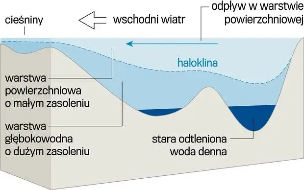 Diagram haloklina Bałtyk