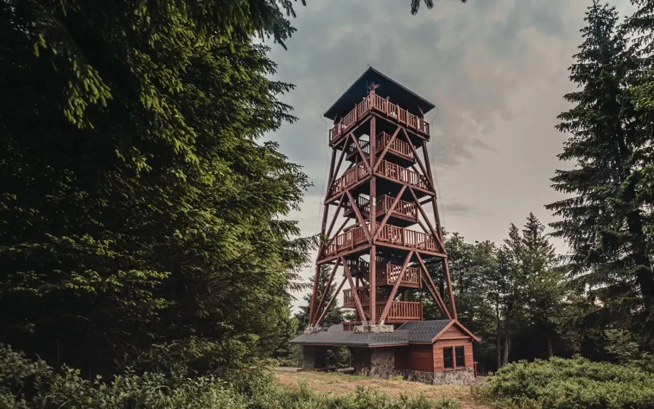 Drewniana wieża widokowa na Orlicy, otoczona gęstym lasem iglastym, zaprasza do podziwiania panoramy.