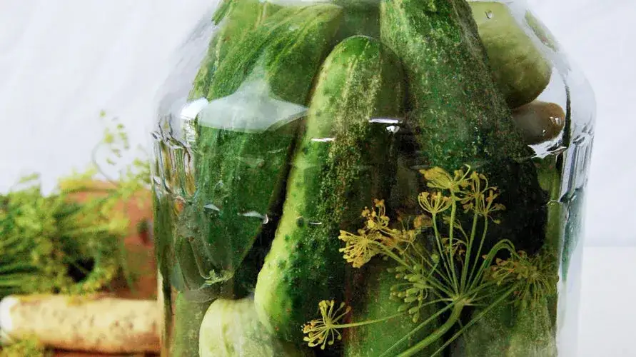 różnica ogórki kiszone i małosolne