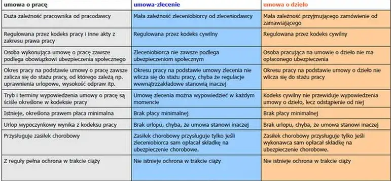 Różne formy staży i praktyk zawodowych