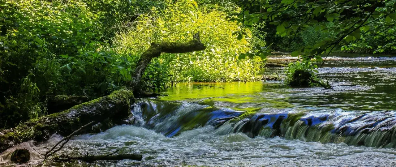 Roztocze Wschodnie krajobraz