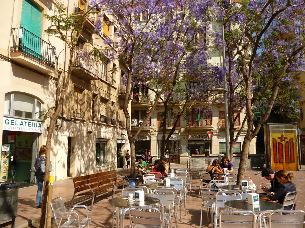 Gr&agrave;cia Barcelona place lokalne życie