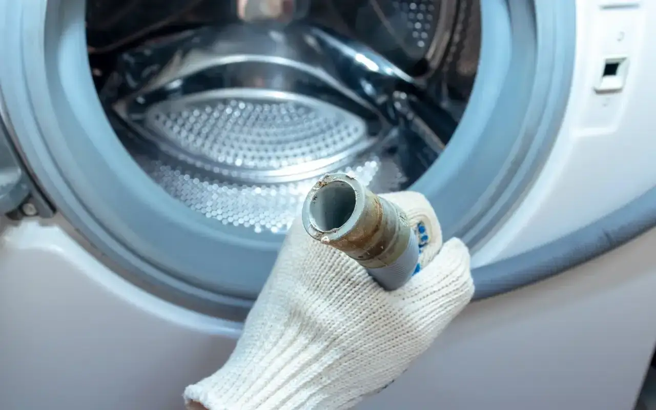 Ręka w białej rękawiczce trzyma brudny wąż odpływowy. Prawdopodobnie pralka nie wypompowuje wody z powodu zatkanego węża.