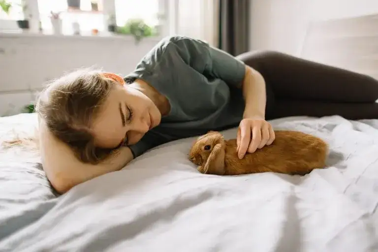 Zdjęcie Jak króliki okazują miłość? Odkryj ich zaskakujące zachowania