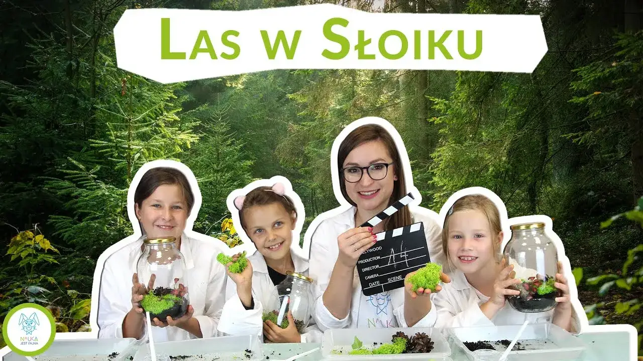 Zdjęcie Jak stworzyć las w słoiku w przedszkolu i nauczyć dzieci ekologii