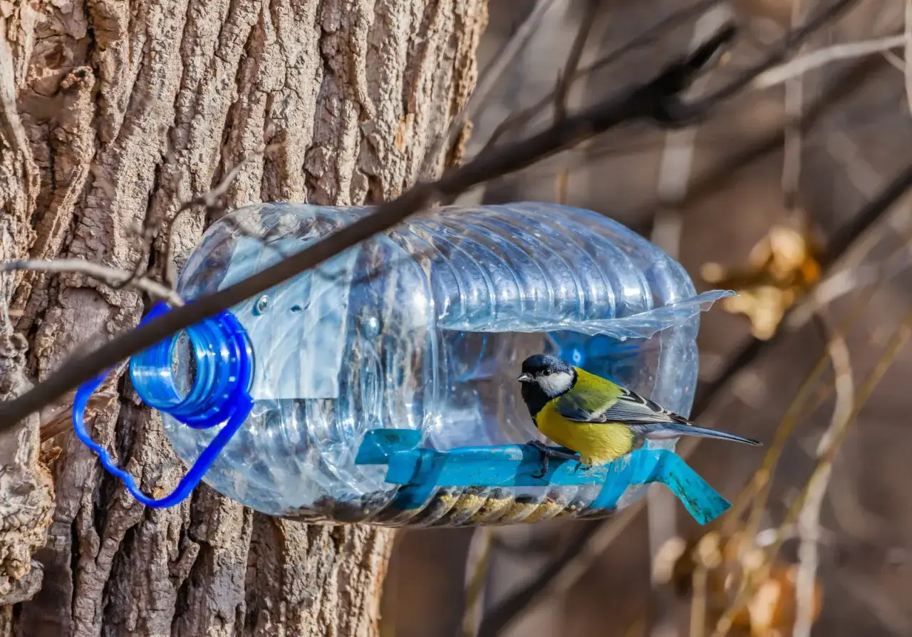 Zdjęcie Ekologiczne karmniki z recyklingu – jak je zrobić i gdzie kupić