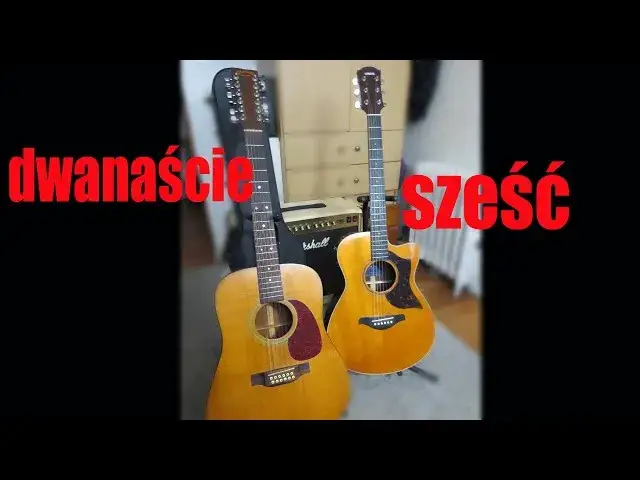 Zdjęcie Gitara 12-strunowa - czym różni się od 6-strunowej?