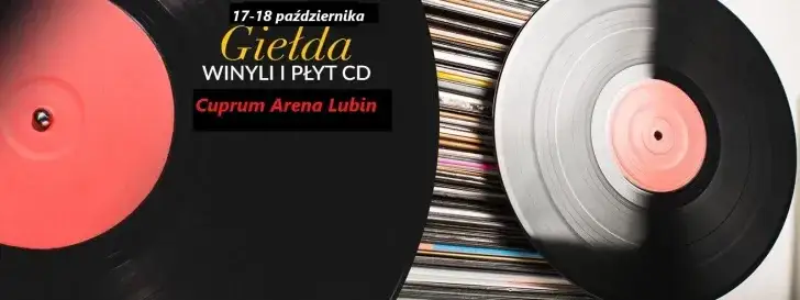 Płyty winylowe w sklepie lub na giełdzie