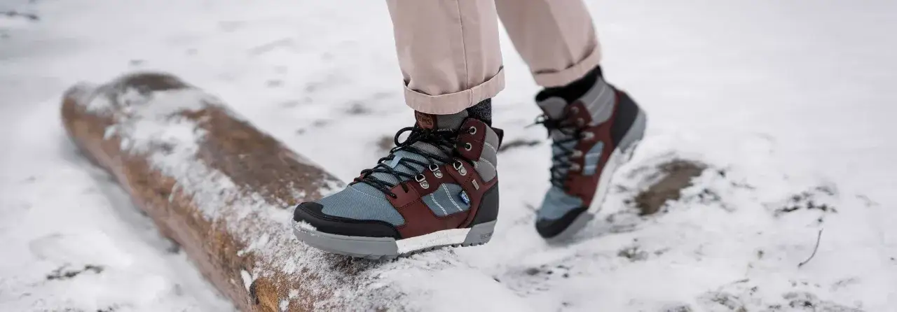 anatomia scarpa montagna infografica