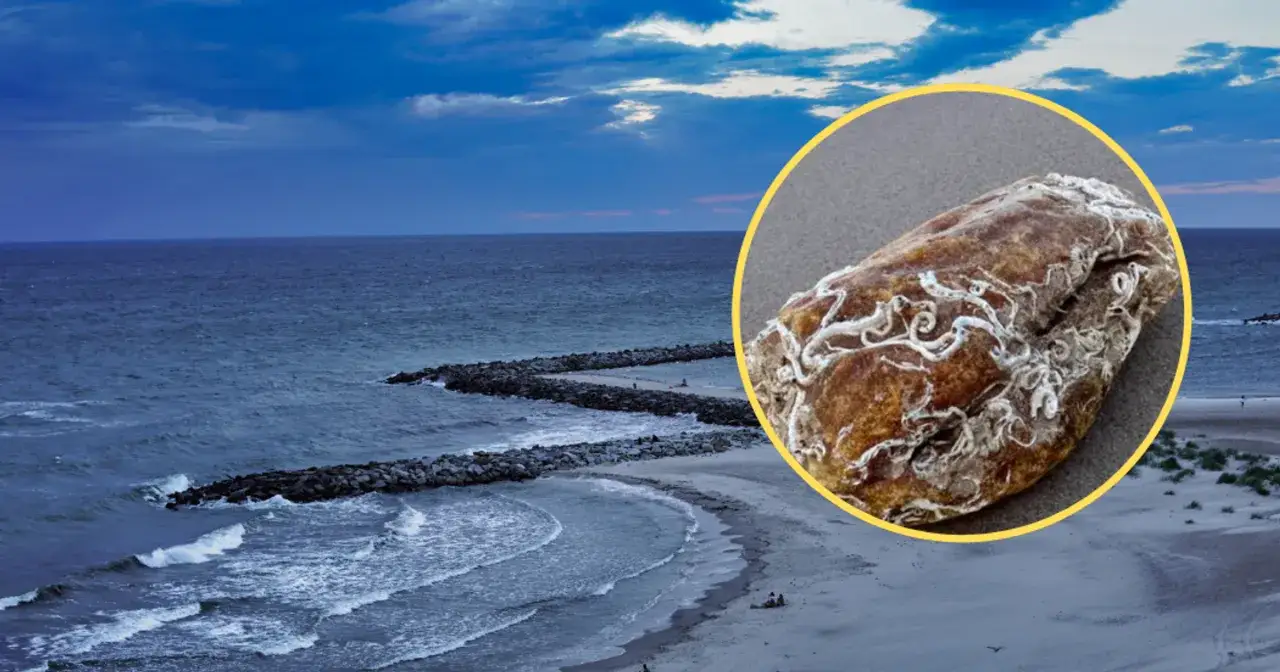Bursztyn na plaży nad Bałtykiem. Szukaj skarbów natury, gdzie szukać bursztynu w Polsce – na wybrzeżu!