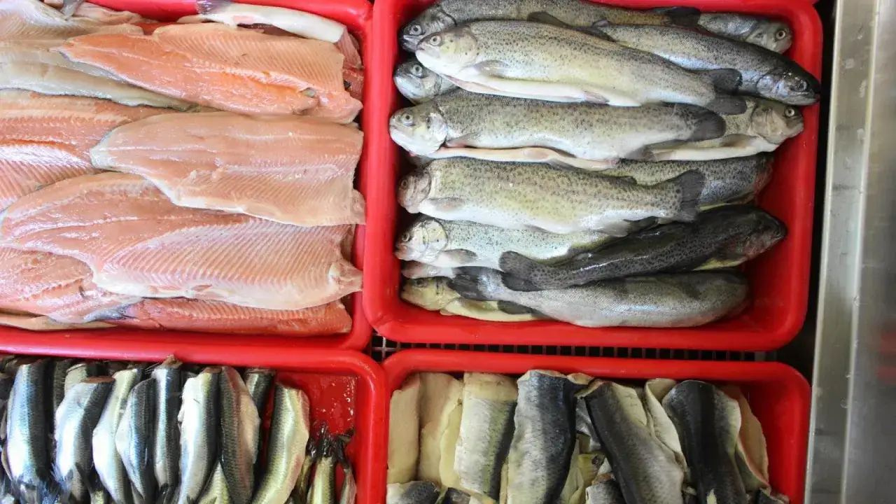 R&oacute;żne rodzaje ryb na ladzie w sklepie rybnym