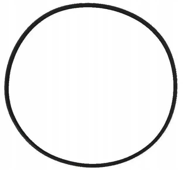 uszczelka głowicy filtra akwarystycznego