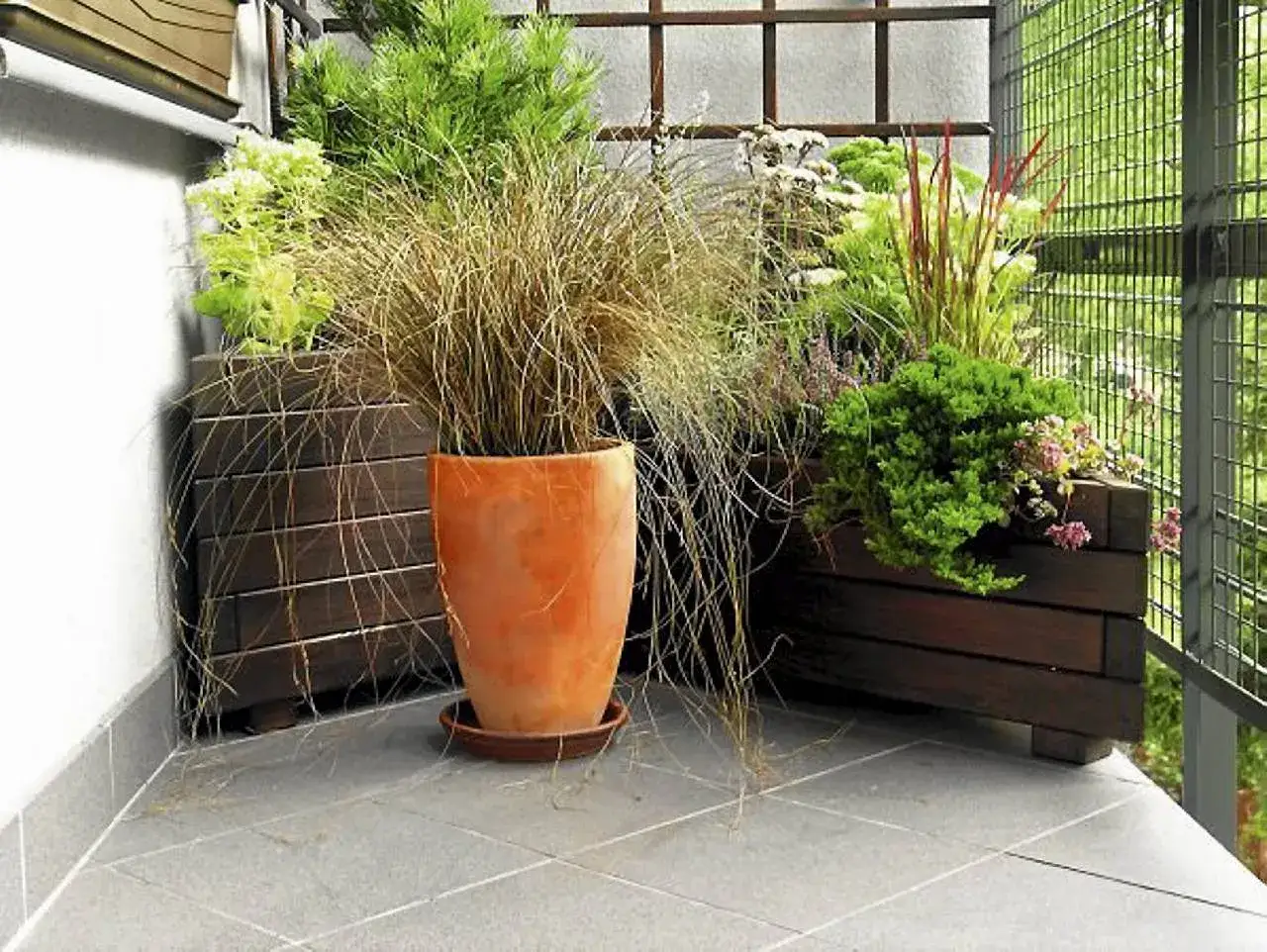 Miskanty w donicach na balkonie tworzą bujną, zieloną kompozycję.