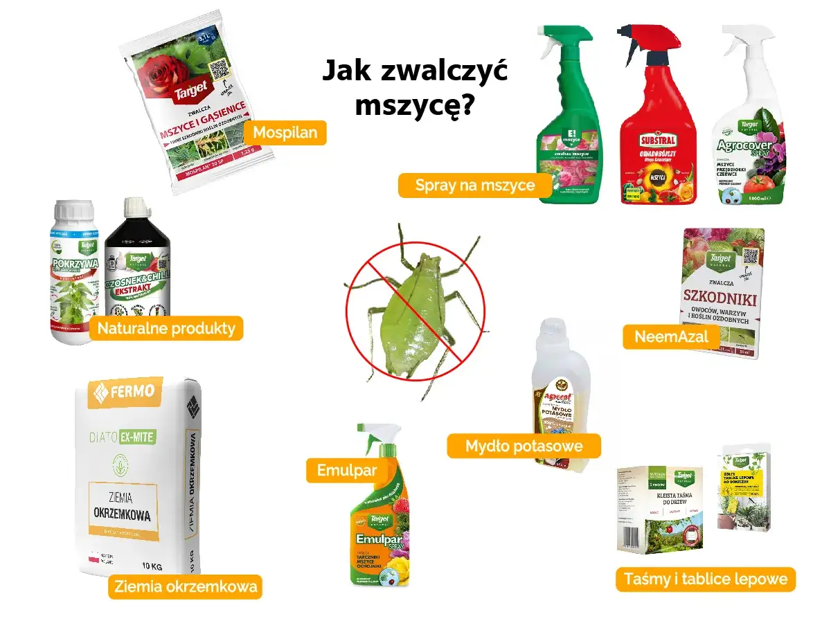 Płyn do naczyń na mszyce to jedno z rozwiązań. Na zdjęciu widzimy r&oacute;żne środki: Mospilan, naturalne produkty, spraye, NeemAzal, ziemię okrzemkową, mydło potasowe, Emulpar oraz taśmy lepowe.