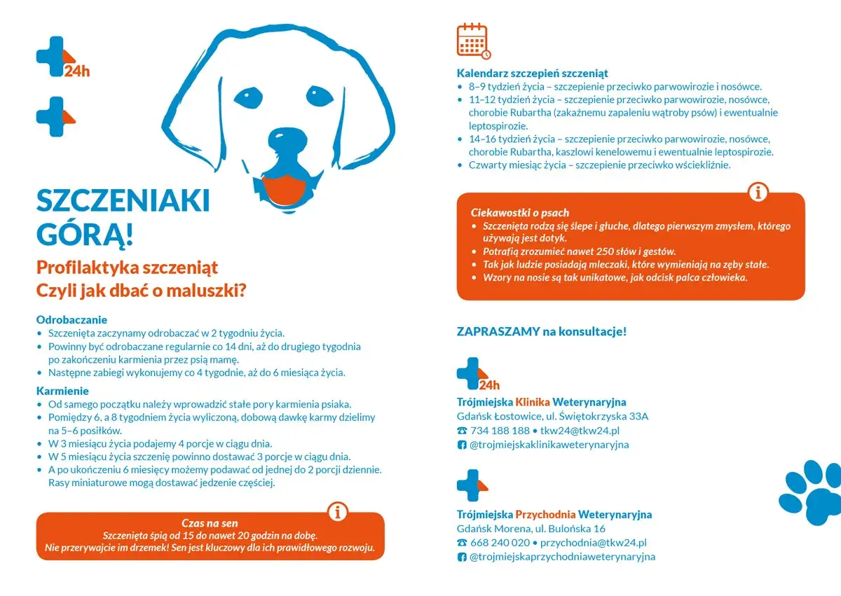 Szczeniaki górą! Dowiedz się, jak odrobaczyć szczeniaka, kiedy zacząć szczepienia i jak dbać o maluszka. Informacje o karmieniu i śnie.