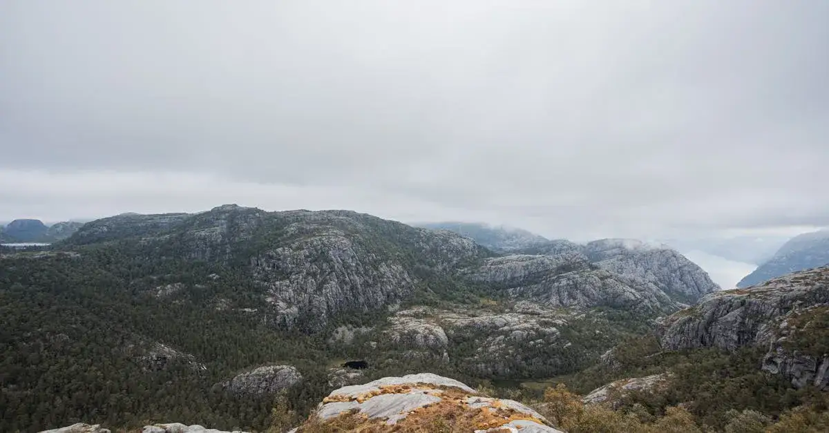 Zdjęcie Oto aż 7 najpiękniejszych szlaków w Górach Sowich: magia natury!