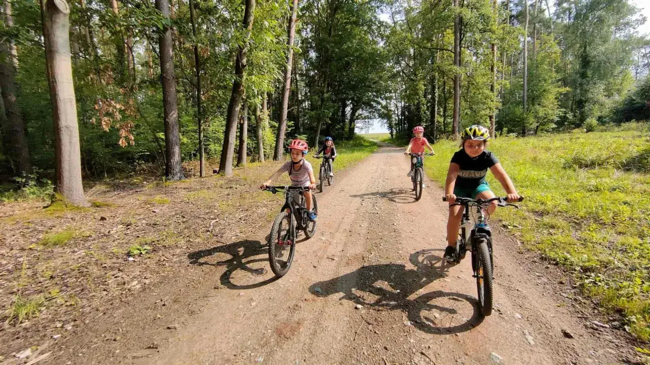 Dzieci na rowerach leśną ścieżką. Zastanawiasz się, jaki rower dla 8 latka 20 czy 24? Tu widać, że świetnie sobie radzą!