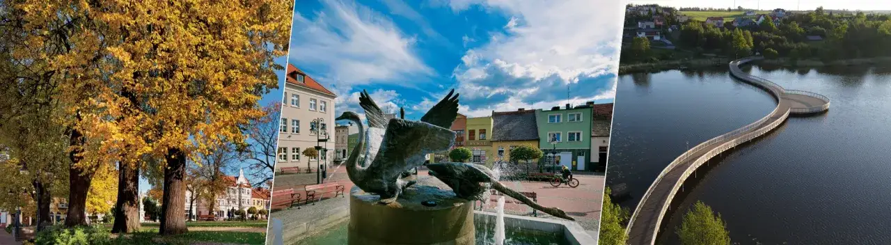 Zdjęcie Najlepsze atrakcje w Tucholi, które musisz zobaczyć podczas wizyty