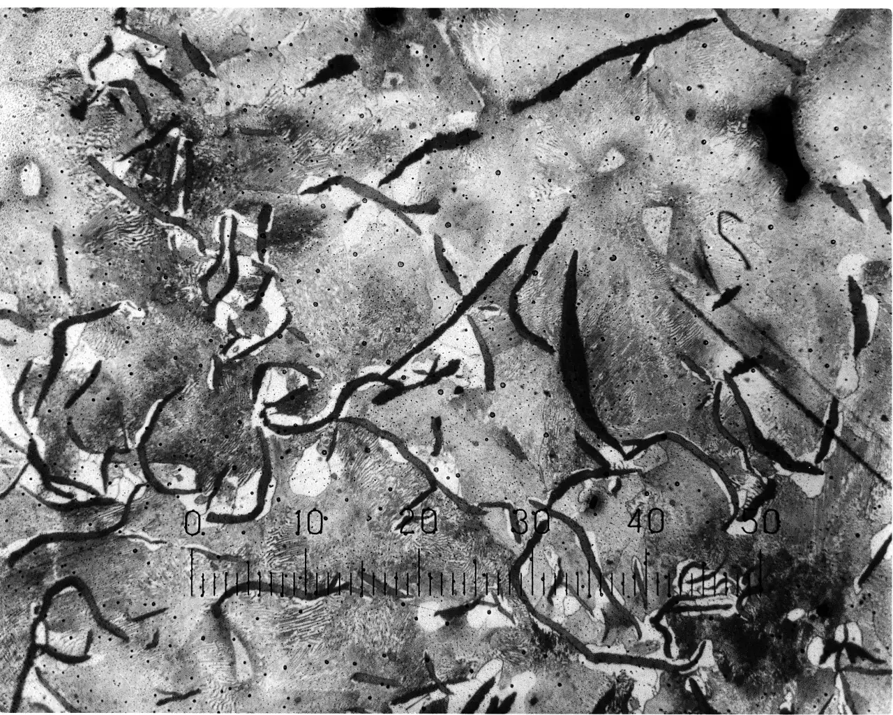 r&oacute;żne rodzaje żeliwa przekr&oacute;j